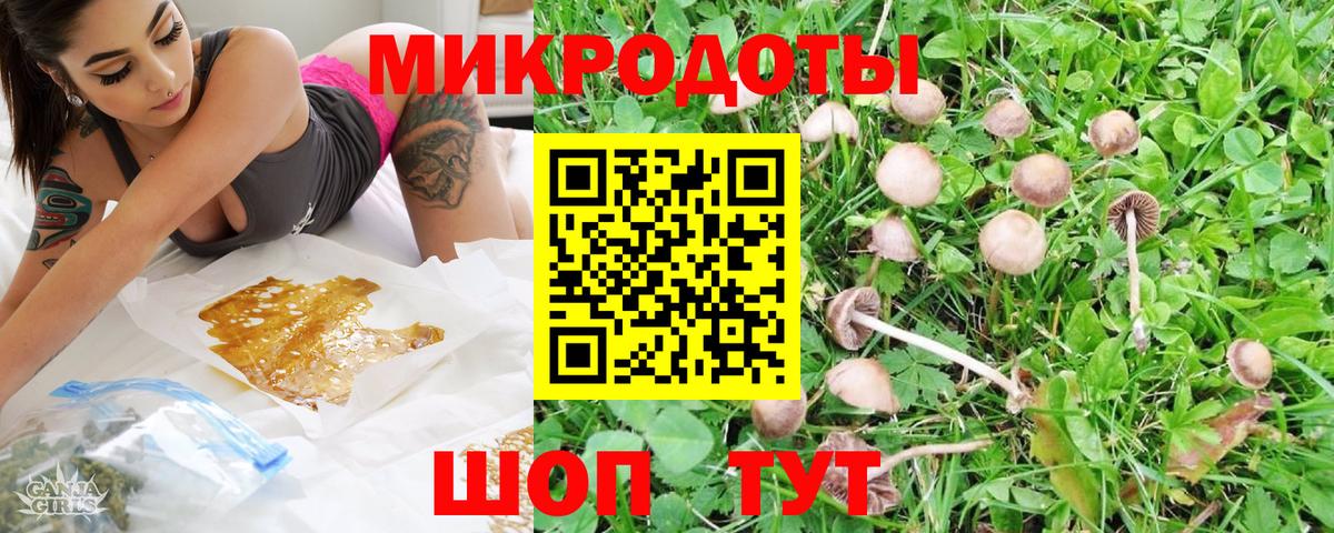 Галлюциногенные грибы Psilocybe  Вход с VPN  Галлюциногенные грибы Psilocybine cubensis  Советская Гавань 